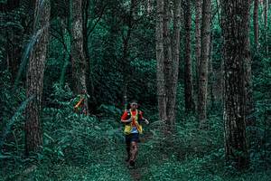 BIB: 
                            <button type="button" onclick="openModal(25238232)" class="btn btn-primary btn-sm float-right btn-popup" data-toggle="modal" data-target=".modal-high-quality">
                        <i class="fas fa-shopping-cart"></i> Add to Cart
                    </button>
                                            <button type="button" onclick="isThisMe(25238232, true)" class="btn btn-success btn-sm float-right btn-popup btn-isme hidden" data-toggle="tooltip" data-placement="bottom" title="นี่คือรูปของคุณใช่ไหม คลิกที่นี่เพื่อเอาเข้าอัลบั้ม">
                        <i class="fas fa-plus"></i> Add to album
                    </button>
                    <button type="button" onclick="isThisMe(25238232, false)" class="btn btn-warning btn-sm float-right btn-popup btn-isnotme hidden">
                        <i class="fas fa-ban"></i> Remove from album
                    </button>